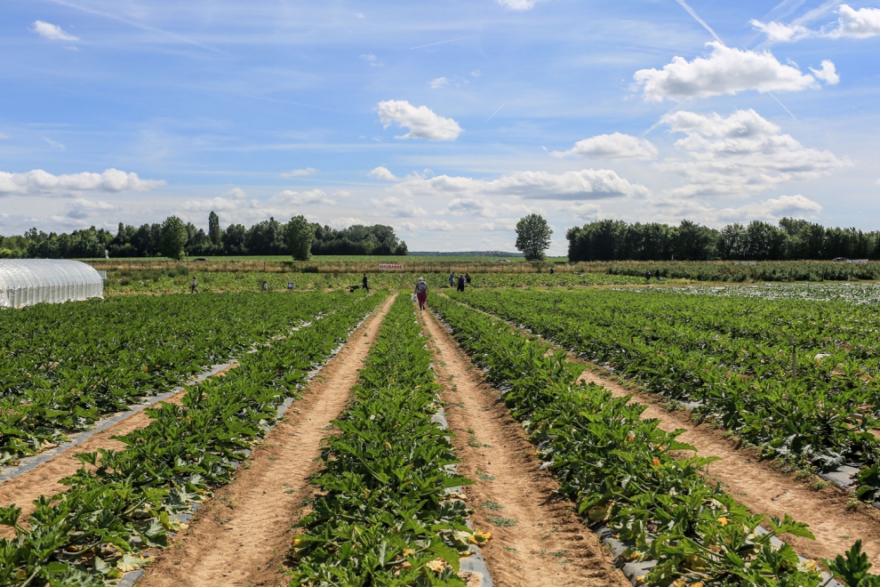 La Cueillette de Cergy