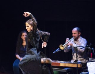 https://13commeune.fr/app/uploads/2019/10/Flamenco-Biennale-2019NL-©FoppeSchut-_7FS7997-2-copie-321x250.jpg