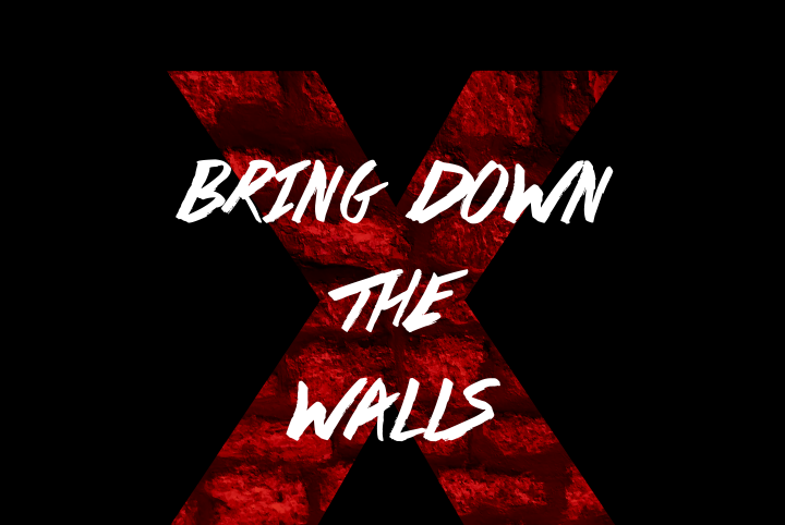 TEDxENSEA Bring down the walls