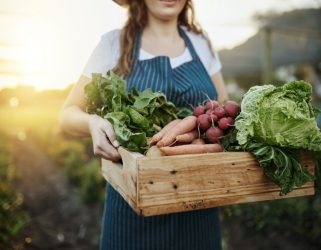 Accéder à Du producteur au consommateur : les ventes directes de fruits et légumes à Cergy-Pontoise