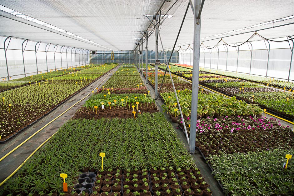 Centre de production végétale © CACP