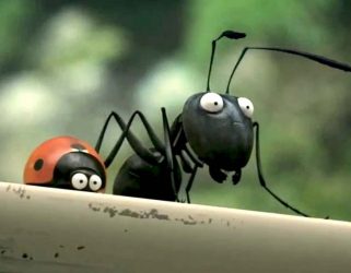 Accéder à Ciné plein air "Minuscule : la vallée des fourmis perdues"