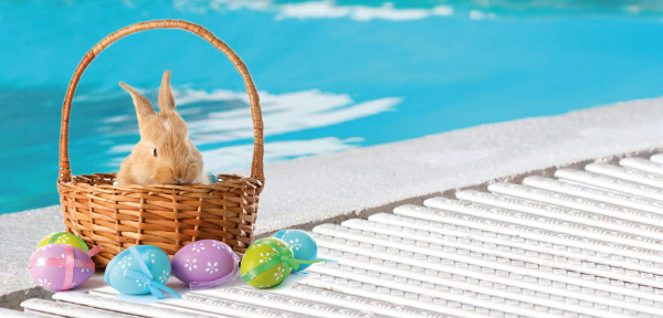 Panier avec un petit lapin dedans et autour des oeufs de Pâques, le tout au bord du bassin d'une piscine