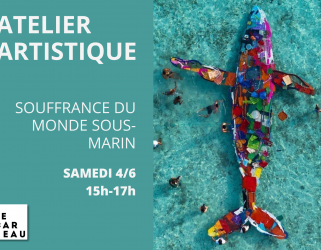https://13commeune.fr/app/uploads/2022/05/atelier-poisson-dechet-321x250.png
