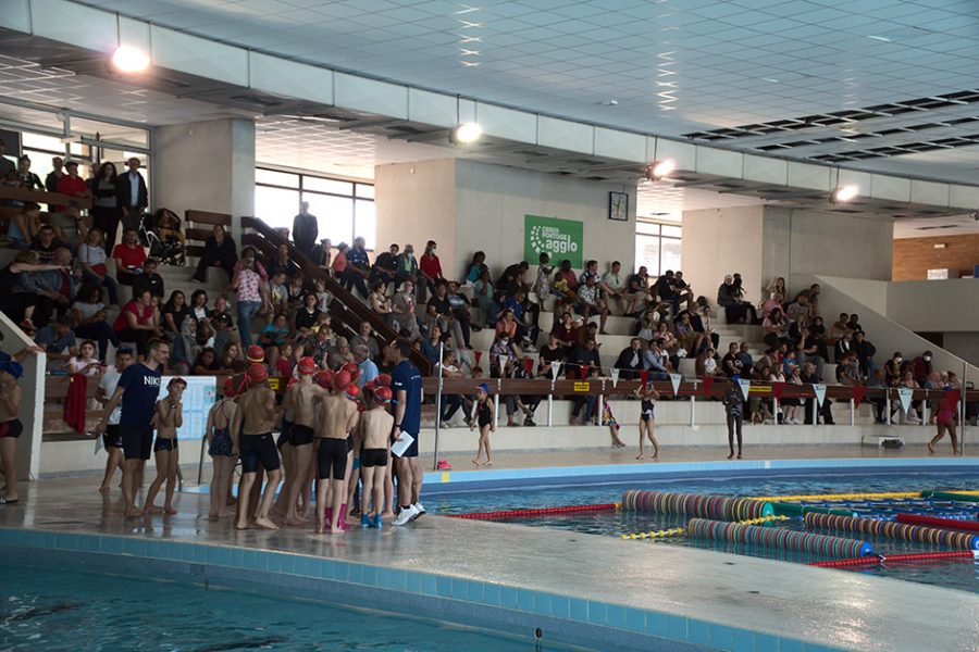Challenge inter écoles de natation - Cergy-Pontoise