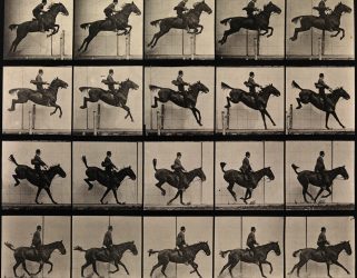 https://13commeune.fr/app/uploads/2022/10/Muybridgephotographic-study-of-a-man-jumping-a-horse-321x250.jpg