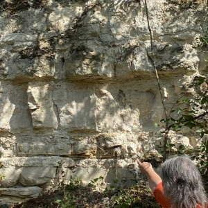 Guide conférencière montrant une paroie de calcaire lutécien lors d'une visite