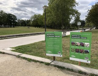 Accéder à Le patrimoine arboré du parc François Mitterrand évolue