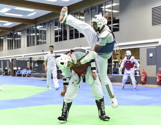 Accéder à Taekwondo Élite : pieds et poings déliés
