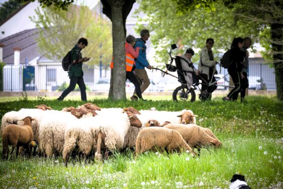 Cergy Pontoise