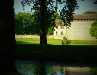 https://13commeune.fr/app/uploads/2025/04/1.-Sortie-nature-321x250.jpg