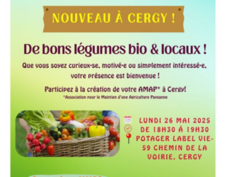 https://13commeune.fr/app/uploads/2025/05/Cergy_Potager_Label_Vie_visuel_reu_AMAP_250526-321x250.png