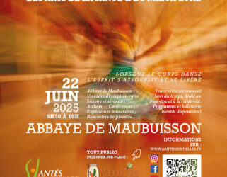 https://13commeune.fr/app/uploads/2025/06/affiche-santessentiel-321x250.jpeg