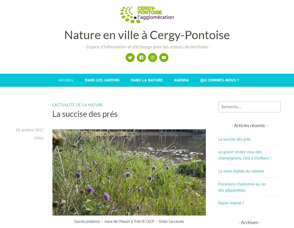 le blog Nature en ville à Cergy-Pontoise